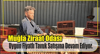 Muğla Ziraat Odası Uygun Fiyatlı Tavuk Satışına Devam Ediyor.