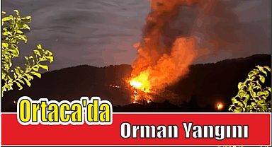 Ortaca'da Orman Yangını