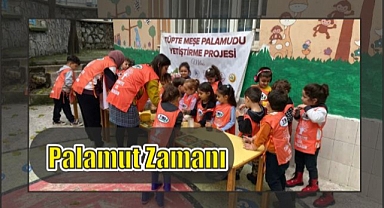 Palamut Zamanı