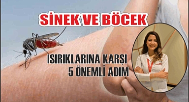 SİNEK VE BÖCEK ISIRIKLARINA KARŞI 5 ÖNEMLİ ADIM
