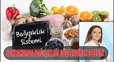 SONBAHARDA BAĞIŞIKLIĞI GÜÇLENDİREN 9 BESİN