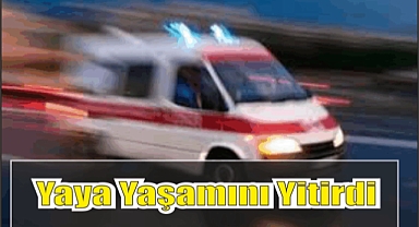Yaya Yaşamını Yitirdi 