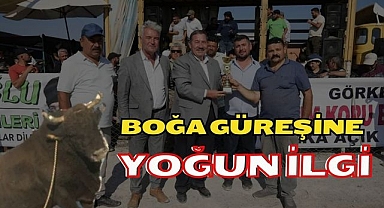 Boğa Güreşine İlgi