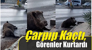 Çarpıp Kaçtı, Görenler Kurtardı