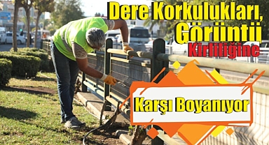 Dere Korkulukları, Görüntü Kirliliğine Karşı Boyanıyor