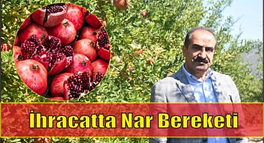 İhracatta Nar Bereketi