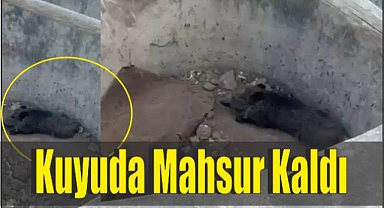 Kuyuda Mahsur Kaldı karşılaştılar.