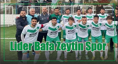 Lider Bafa Zeytin Spor