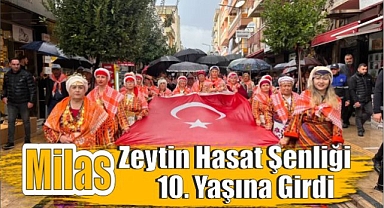 Milas Zeytin Hasat Şenliği 10. Yaşına girdi