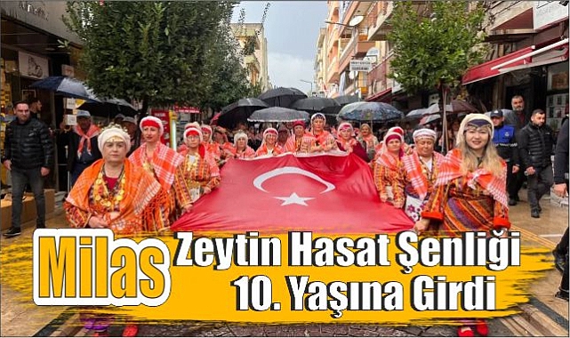 Milas Zeytin Hasat Şenliği 10. Yaşına girdi