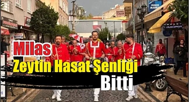 Milas Zeytin Hasat Şenliği Bitti