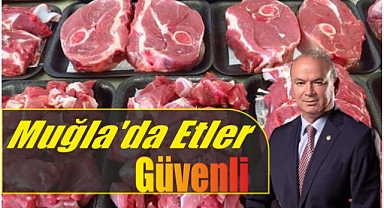 Muğla’da Etler Güvenli