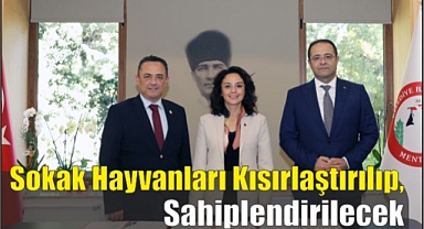 Sokak Hayvanları Kısırlaştırılıp, Sahiplendirilecek
