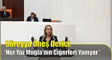 Süreyya Öneş Derici,”Her Yaz Muğla’nın Ciğerleri Yanıyor”
