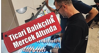 Ticari balıkçılık Mercek Altında