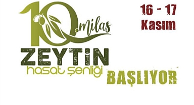 Zeytin Hasat Şenliği 16 Kasım’da