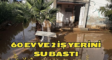 60 ev ve 2 iş yerini su bastı