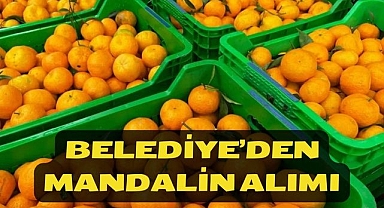 Belediye’den Mandalin Alımı