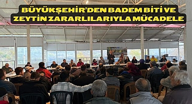 Büyükşehir’den Badem Biti ve Zeytin Zararlılarıyla Mücadele