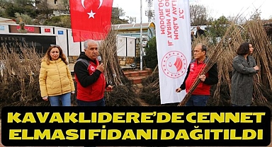 Kavaklıdere’de Cennet Elması Fidanı Dağıtıldı