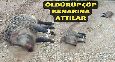 Öldürüp Çöp Kenarına Attılar