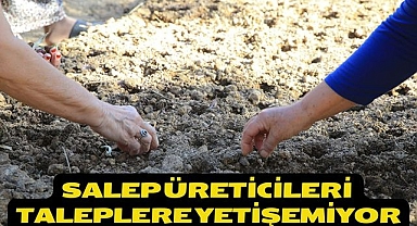 Salep Üreticileri Taleplere Yetişemiyor