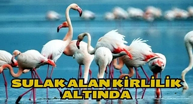 SULAK ALAN KİRLİLİK ALTINDA