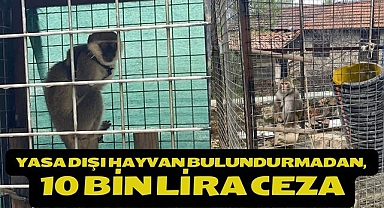 Yasa Dışı Hayvan Bulundurmadan, 10 Bin Lira Ceza