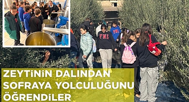 ZEYTİNİN DALINDAN SOFRAYA YOLCULUĞUNU ÖĞRENDİLER