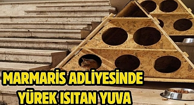 Marmaris Adliyesinde yürek ısıtan yuva