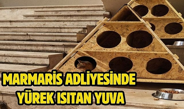 Marmaris Adliyesinde yürek ısıtan yuva