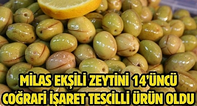 MİLAS EKŞİLİ ZEYTİNİ 14’ÜNCÜ COĞRAFİ İŞARET TESCİLLİ ÜRÜN OLDU