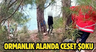 Ormanlık Alanda Ceset Şoku
