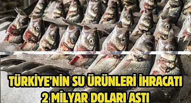 Türkiye’nin su ürünleri ihracatı 2 milyar doları aştı