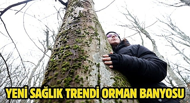 Yeni sağlık trendi Orman Banyosu