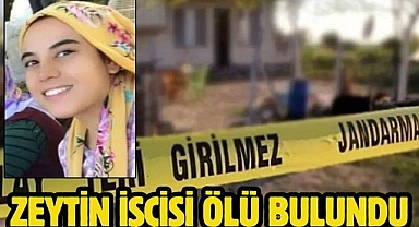 Zeytin İşçisi Ölü Bulundu