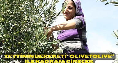 Zeytinin bereketi “OLIVEtoLIVE” ile kadraja girecek