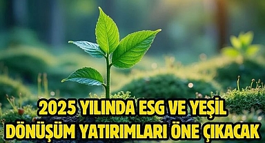 2025 Yılında ESG ve Yeşil Dönüşüm Yatırımları Öne Çıkacak