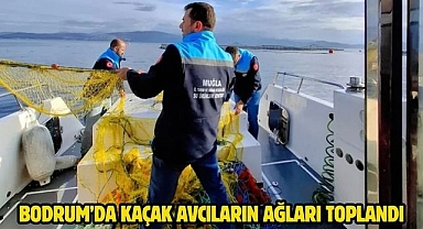 Bodrum’da kaçak avcıların ağları toplandı