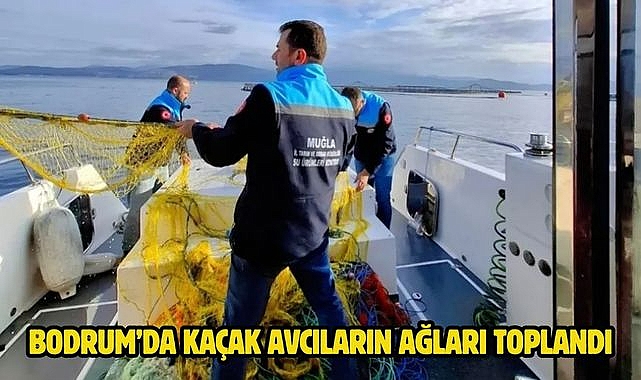 Bodrum'da kaçak avcıların ağları toplandı