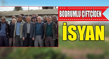 Bodrumlu çiftçiden isyan
