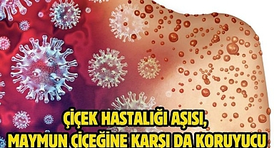 Çiçek Hastalığı Aşısı, Maymun Çiçeğine Karşı da Koruyucu