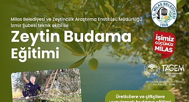 ÇİFTÇİLERE UYGULAMALI ZEYTİN BUDAMA EĞİTİMİ VERİLECEK