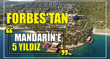 Forbes’tan Mandarin’e 5 Yıldız 