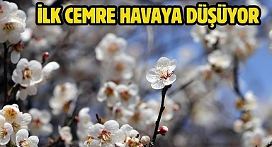 İlk Cemre Havaya Düşüyor 