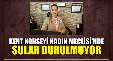 KENT KONSEYİ KADIN MECLİSİ’NDE SULAR DURULMUYOR