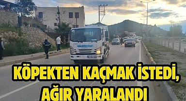 Köpekten Kaçmak İstedi, Ağır Yaralandı 