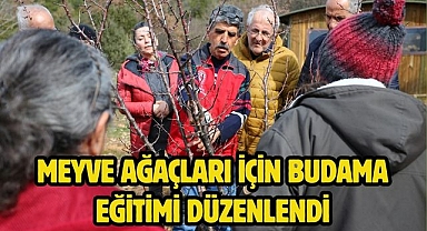 Meyve Ağaçları İçin Budama Eğitimi Düzenlendi