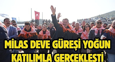MİLAS DEVE GÜREŞİ YOĞUN KATILIMLA GERÇEKLEŞTİ
