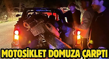 Motosiklet Domuza Çarptı